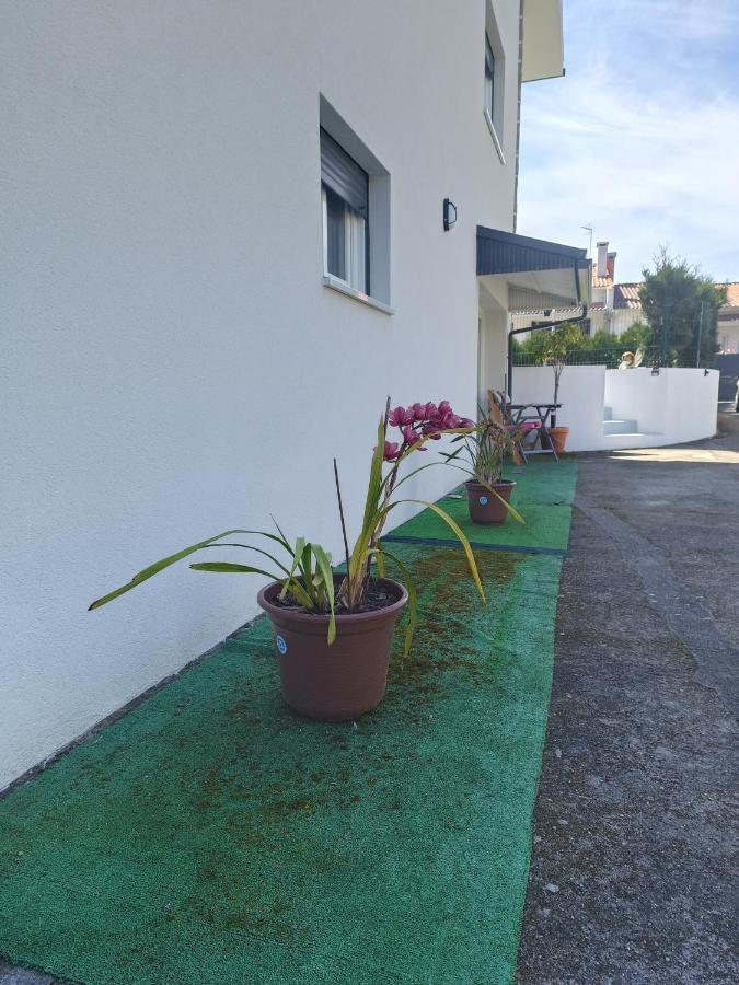 Cabedelo Seaside Guesthouse Viana do Castelo Exteriér fotografie